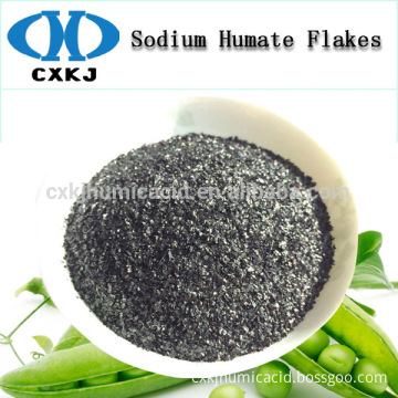 Bio Organic Humic Acid, Sodium Humate Powder/ Flake